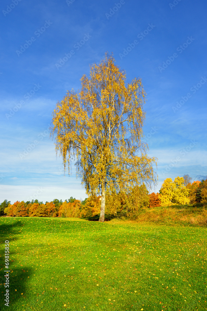 Krajobraz wiejski, jesień