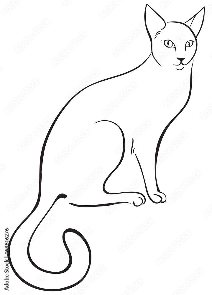 Outline cat