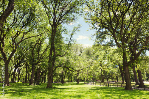 Wallpaper Mural Central Park. New York, USA. Torontodigital.ca