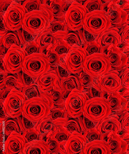Fototapeta Naklejka Na Ścianę i Meble -  Beautiful red roses background