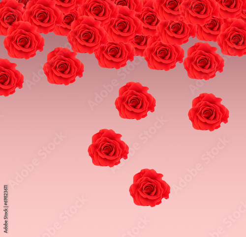Beautiful red roses on pink background