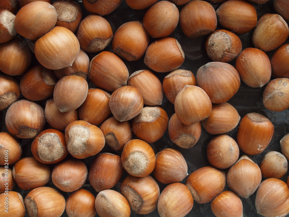 hazelnuts