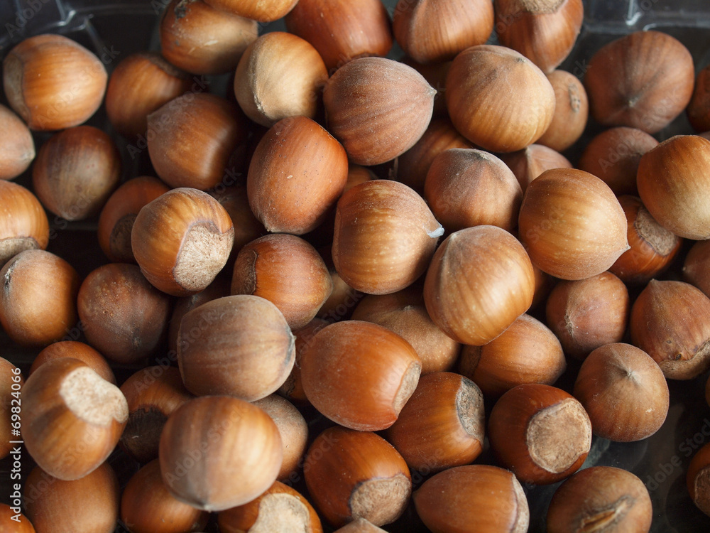hazelnuts hazelnuts