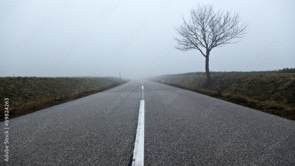 Fototapeta premium Straße/ Nebel/ Verkehr - Baum