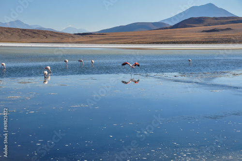 Gorgeous landscapes of Sur Lipez, South Bolivia photo