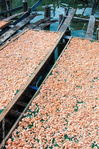 Close up on dried shrimps in the sun