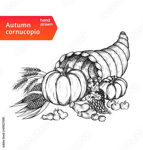 Cornucopia. Horn of plenty with autumn harvest symbols photo