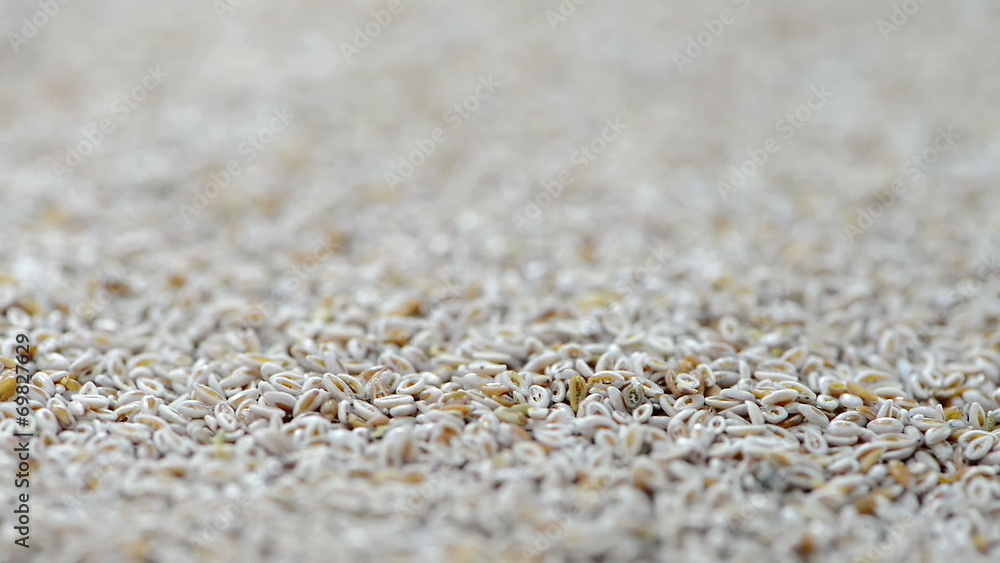 Portion of Psyllium Seeds (loopable full HD video) Portion of Psyllium Seeds (loopable full HD video)