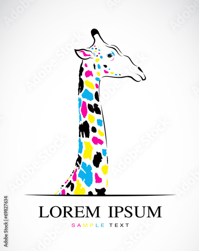Vector image of an giraffe head on white background.
