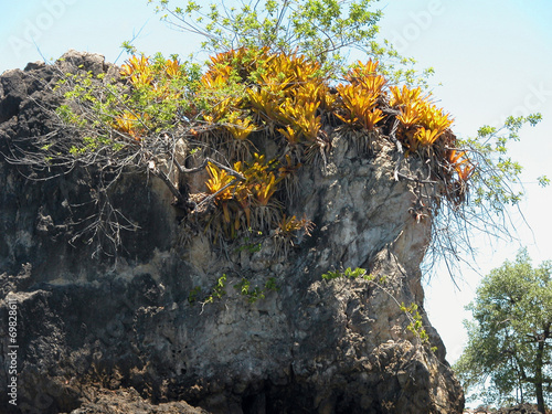 Ilha da Pedra Furada, Península de Maraú,  Bahia photo