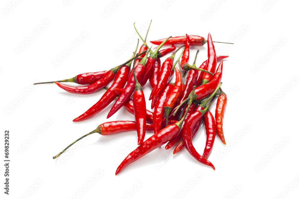 red bird-chilli on white background red bird-chilli on white background