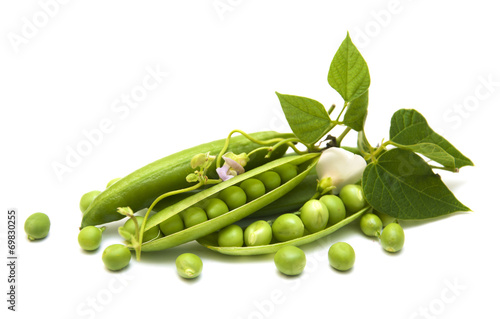 Fresh Garden Peas