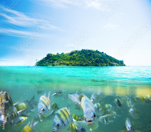 Fototapeta Naklejka Na Ścianę i Meble -  Underwater picture with fish and remote island