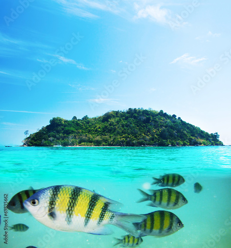 Underwater picture with fish and remote island photo