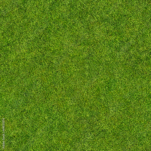 3D Tapete im Flur - Fototapete seamless grass