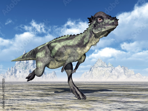 Dinosaur Pachycephalosaurus © Michael Rosskothen