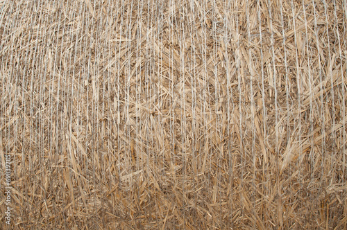 Dry straw detail, texture