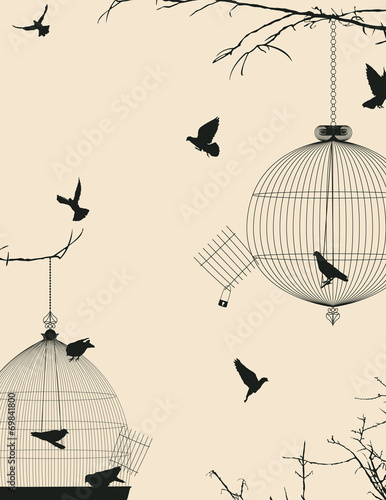 Birds and birdcages postcard