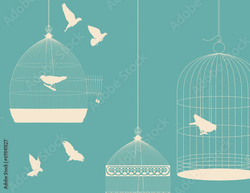 Birds and birdcages postcard 5