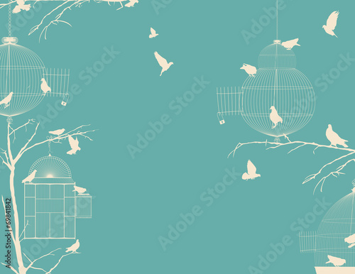 Birds and birdcages postcard 8