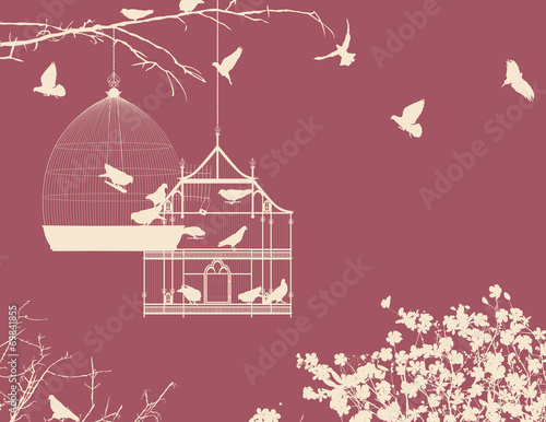Birds and birdcages postcard 10