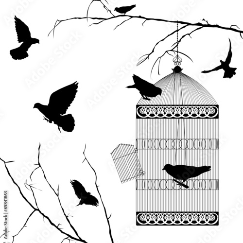 Fyling birds and cage silhouettes