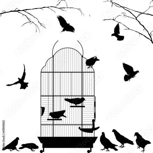 Open bird cage and birds