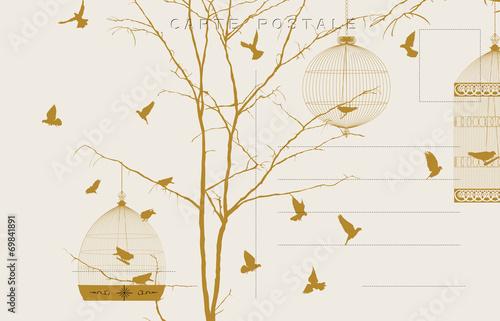 Vintage birds postcard 3