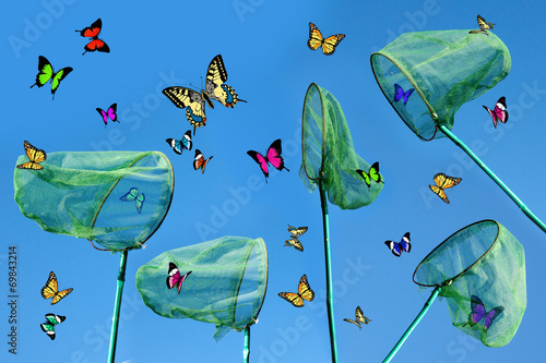 Photography Butterfly`s last minute on free