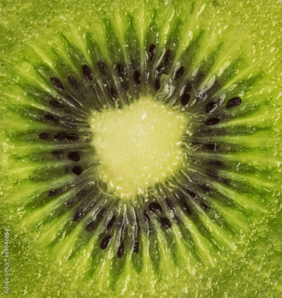 fresh Kiwi fruit sliced isolated on white background fresh Kiwi fruit sliced isolated on white background