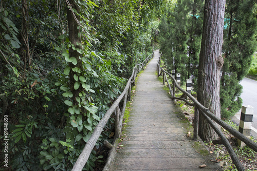 wooden pathway beside the road