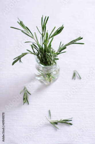 Wallpaper Mural rosemary Torontodigital.ca