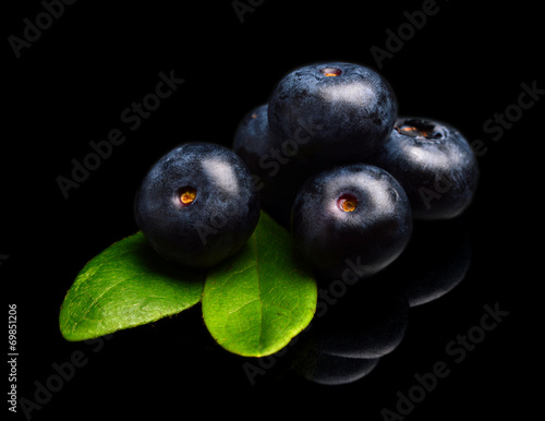 Macro closeup view blueberries leaves isolated black