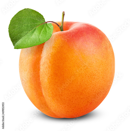 Fotomurale Fresh apricot