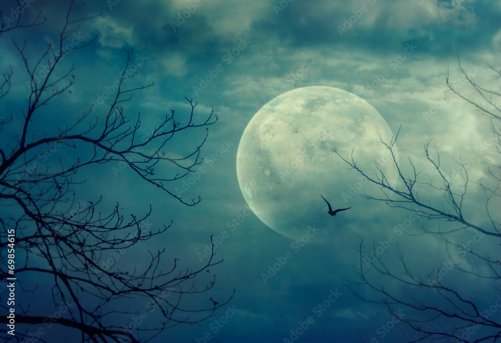 Obraz premium Halloween background