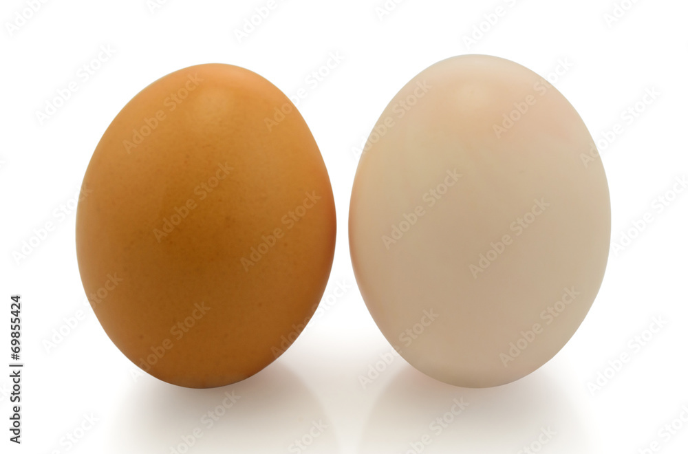chicken and duck eggs on white background chicken and duck eggs on white background