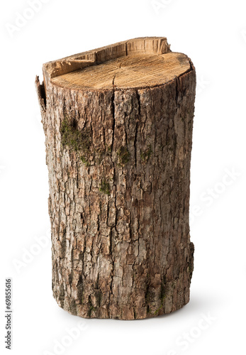 Big stump