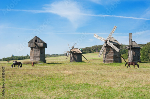 Four historic windmilsl in a Ukraine landscape with horses