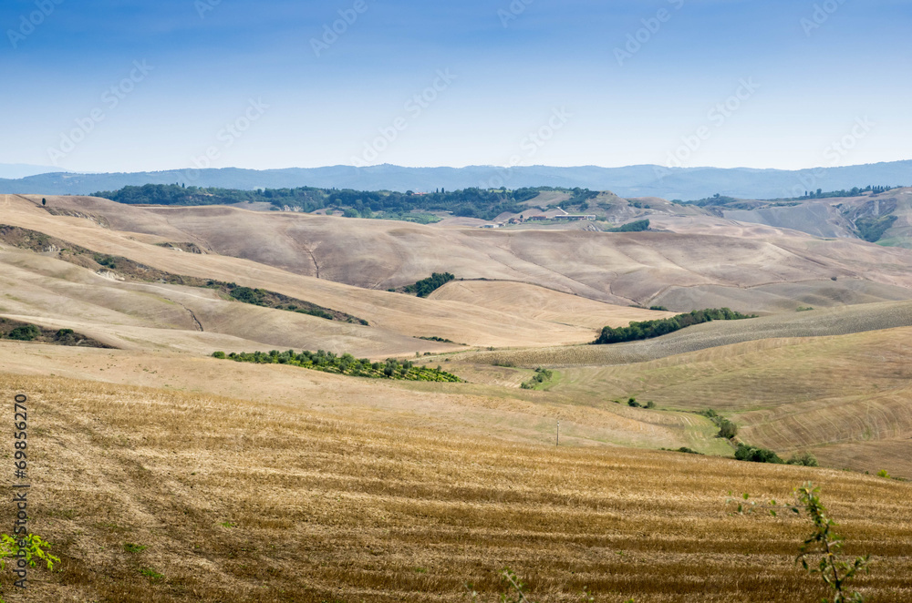 Fototapeta premium Toscane Crete Senesi