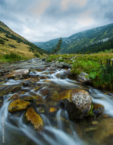 Beautiful mountain stream and fir trees in the Alps photo