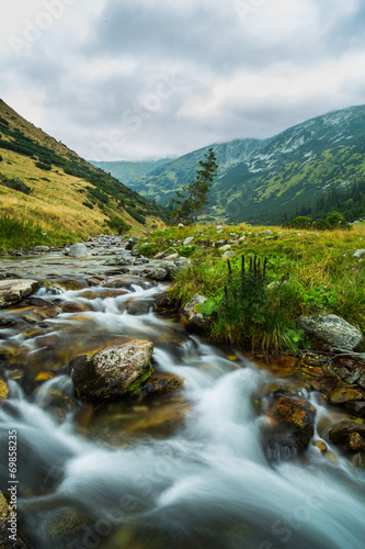 Beautiful mountain stream and fir trees in the Alps