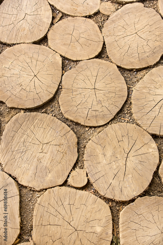 texture of the wood is photographed close-up texture of the wood is photographed close-up