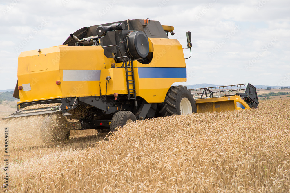 Obraz premium combine harvester