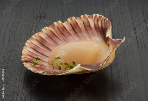 Raw scallops photo