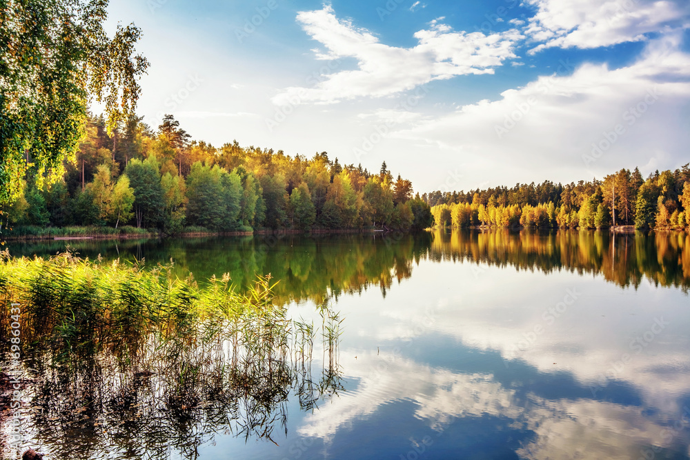 Fototapeta premium autumnal lake near the forest