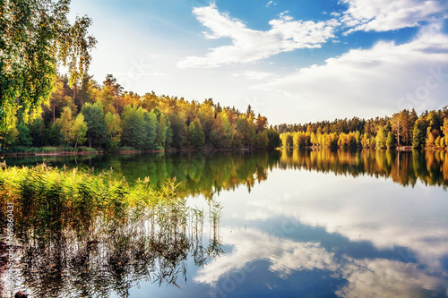 autumnal lake near the forest