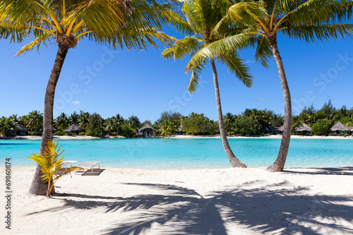 Palme su una spiaggia bianca in Polinesia francese. Bora Bora