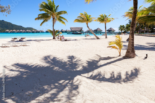 Palme su una spiaggia bianca in Polinesia francese. Bora Bora