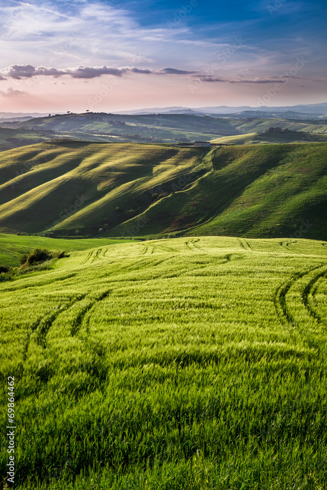 Beautiful view of the country footpath at sunset in Tuscany Beautiful view of the country footpath at sunset in Tuscany
