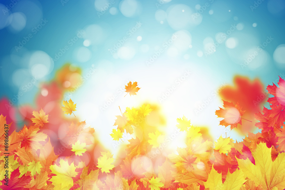 Autumn background Autumn background